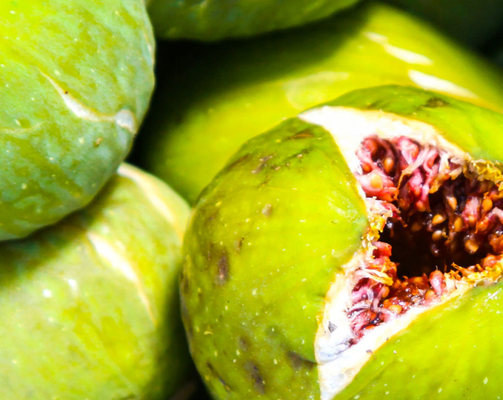 16 Jardins de Kérylos Eau de Parfum