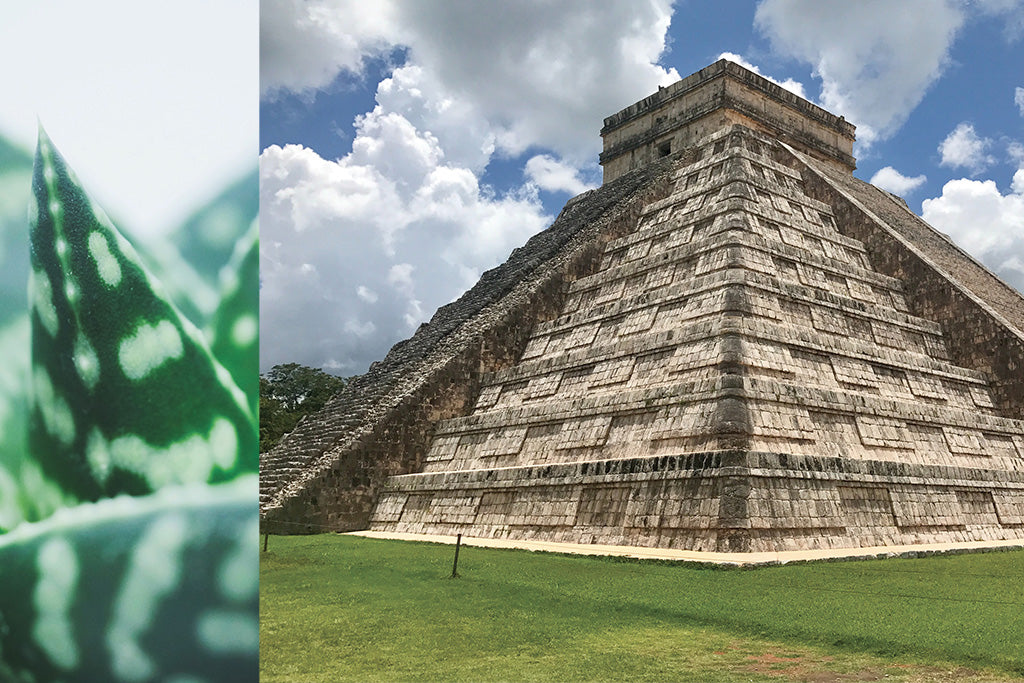 07 SOLSEKIA smaržūdens