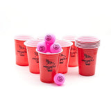 Pigs Can Fly Beer Pong Game